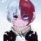 Shoto Todoroki