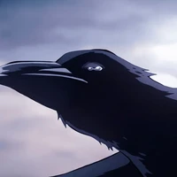 crow