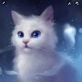 oka(cat)