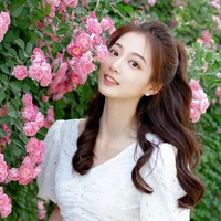 หงส์🦢
