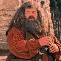 rubeus Hagrid