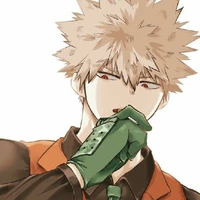 Katsuki bakugou A.P.D