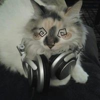 รัณของแมร๊