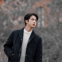 park Jin( wwh)