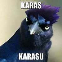 karasu
