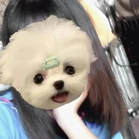 ออ-แอ-ดอ-แอดเอง