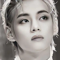 Kim taehyung {third price)