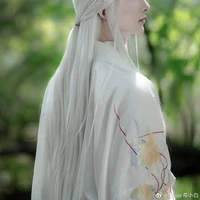 ไป๋อวี่ (พระเอก)