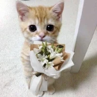 มัมหมีน้องพายค่ะ
