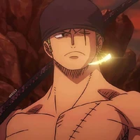 • Roronoa Zoro