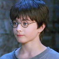 Mini Harry