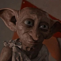 Elfo Dani
