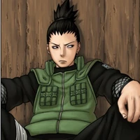 Shikamaru (alfa)