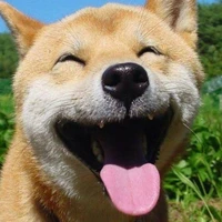 แอดไอซ์