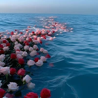 Unknown 1