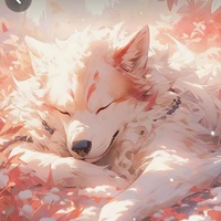 Wolf lover