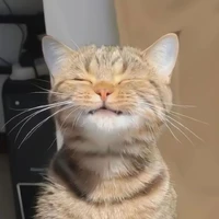 แอดเองจ้าาา🍁🍁