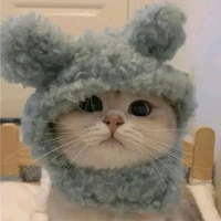 แอดแมว😺🐰