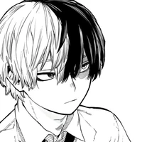 °Todoroki Shoto°
