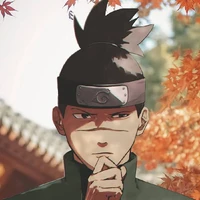 iruka 𝕠