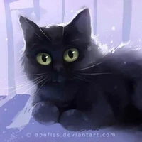gato/callejero