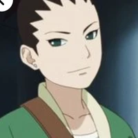 Nara sikadai