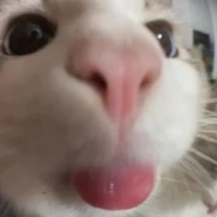 เเอ๊ดเเอด