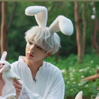 bunny
