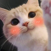 แอดเองคับ