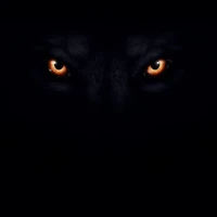 old wolf