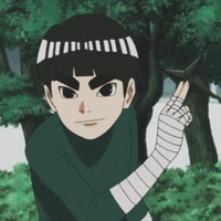 metal lee (p)