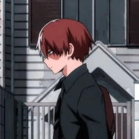 shoto todoroki