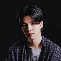 Min Yoongi ( Suga )