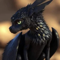Kuro(Filhote)