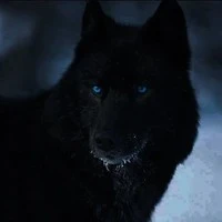 lobo de sg