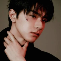 แสงเหนือ