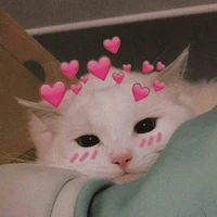Karin 🐈