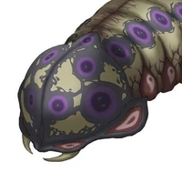 Larva