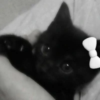 c.