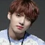 jungkook wiliam