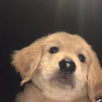 ลูกชื่อ วาฬ ค่ะ