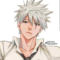 Kakashi Hatake (ODP)