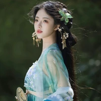 หลี่เฟยเฟิ่ง