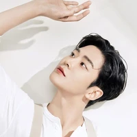 Rawoon