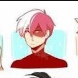 todoroki*alfa*