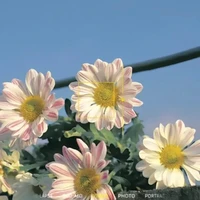 แอดเองเลิฟคนอ่านน🌷