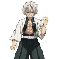 ชินาสึกาวะ ชานามิ(เสาหลักวายุ)