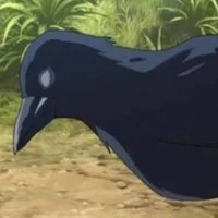 อิกา(ส่งข่าว)