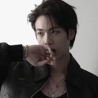 Kim seokjin~ (DA)