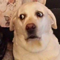 แอด
